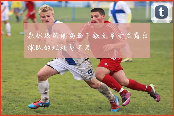 森林狼热闹场面下缺乏华子显露出球队的粗糙与不足